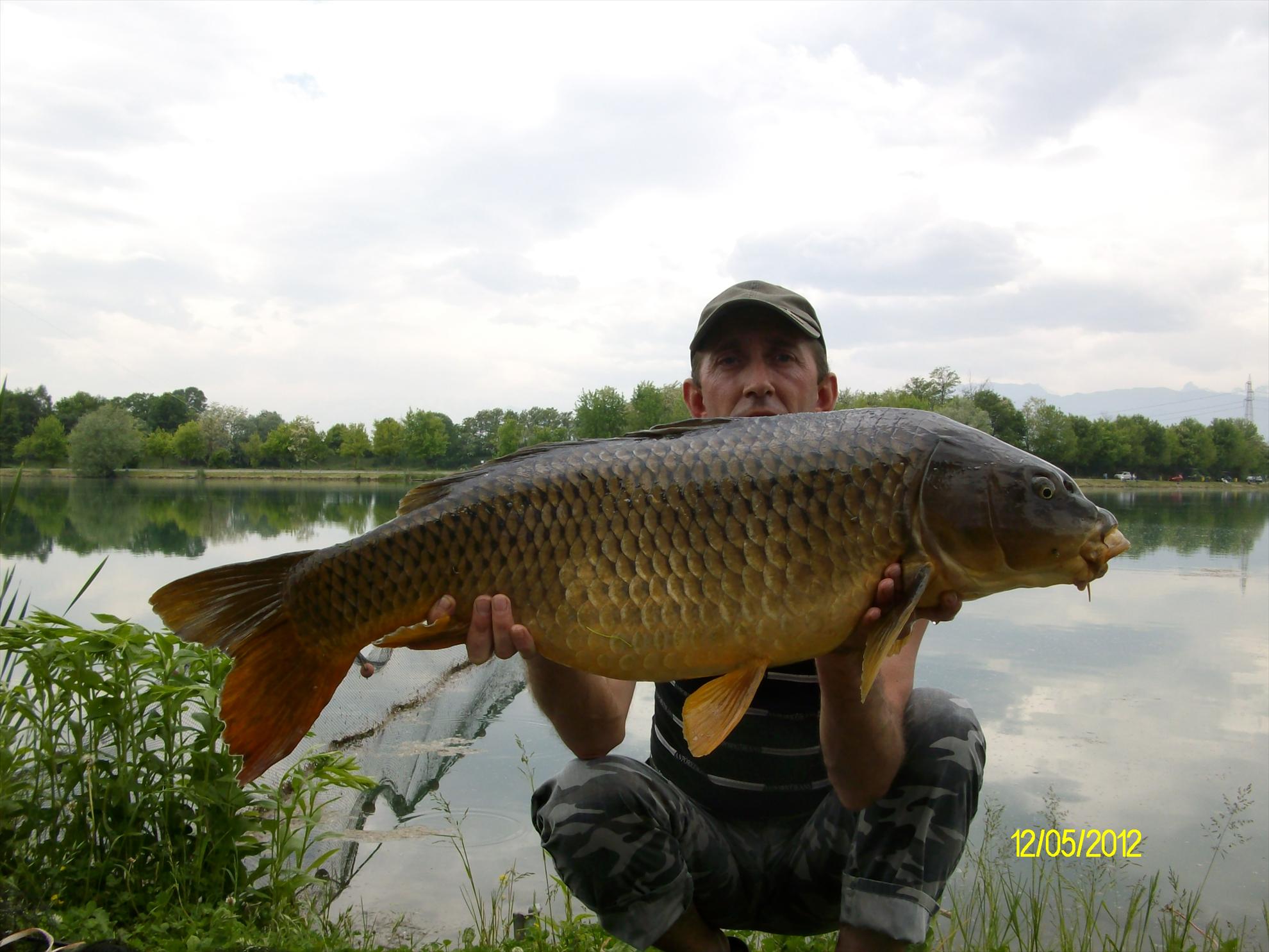 florian tanasa - alim0581.JPG